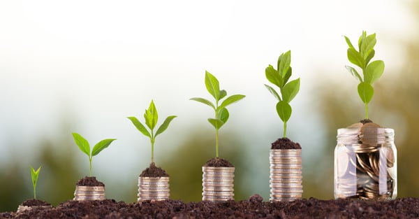 Growing Money - Plant On Coins - Finance growth And Investment Concept