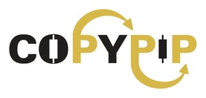copy pip logo