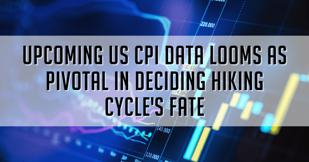 Upcoming US CPI Data Looms as Pivotal in Deciding Hiking Cycle's Fate